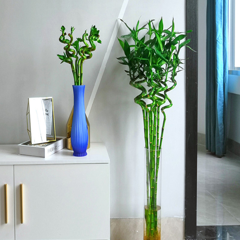 110cm 2PC Artificial Lucky Bam - مراجعة Aquarium Plant Echinodorus وسعره