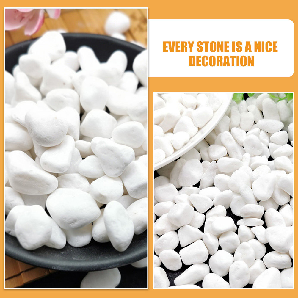 1Set White Decorative Stone Aq - مراجعة Aquarium Plant Gravel وسعره