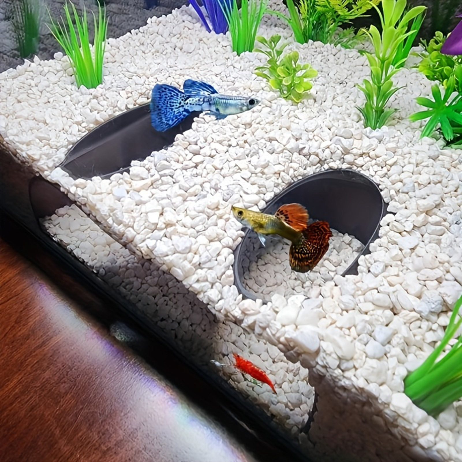 Aquarium Underground Tunnel Sh - مراجعة Aquarium Plant Gravel وسعره