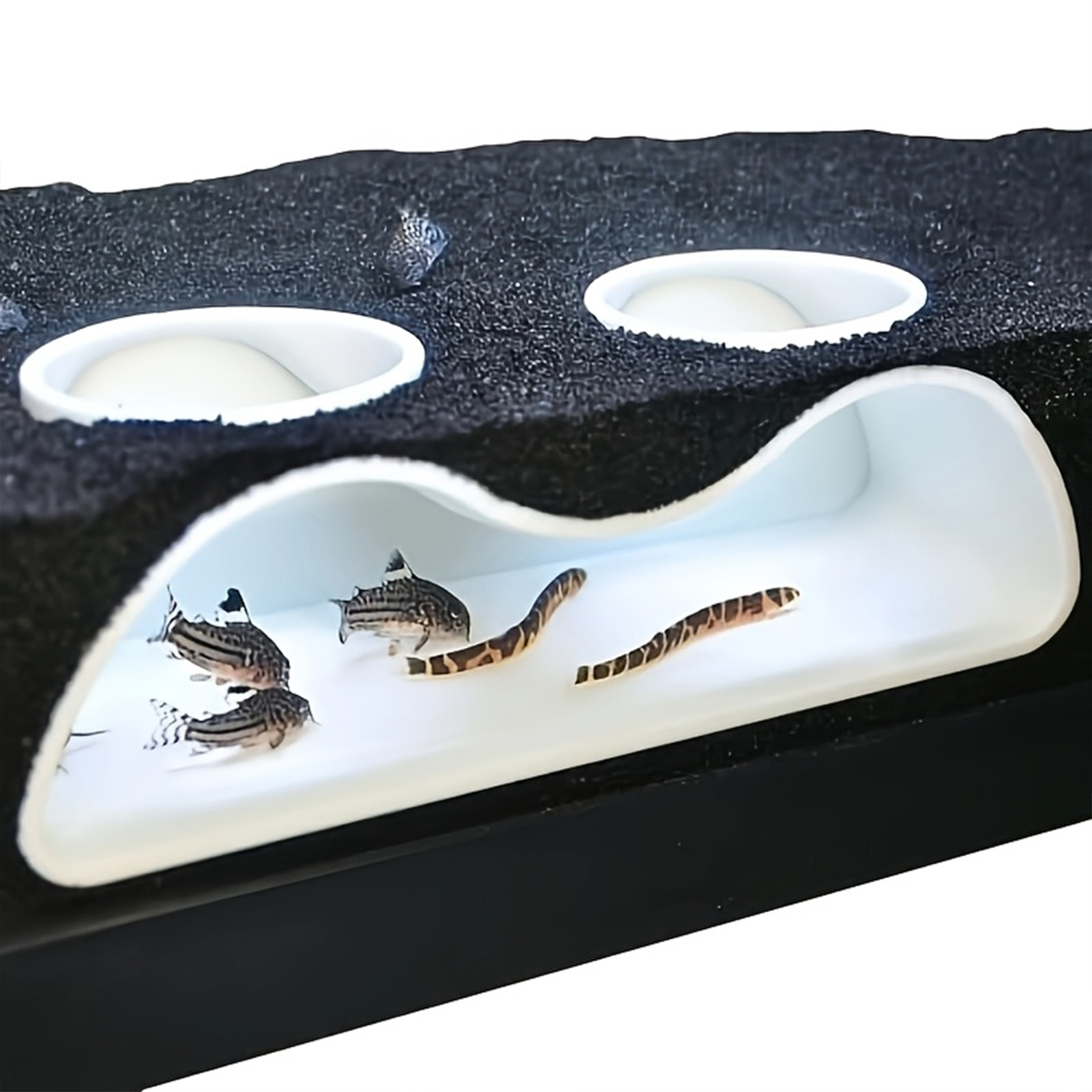 Aquarium Underground Tunnel Sh - مراجعة Aquarium Plant Gravel وسعره