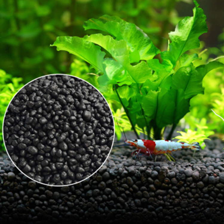 Aquarium Plant Seeds Soil Fish - مراجعة Aquarium Planted Seeds وسعره