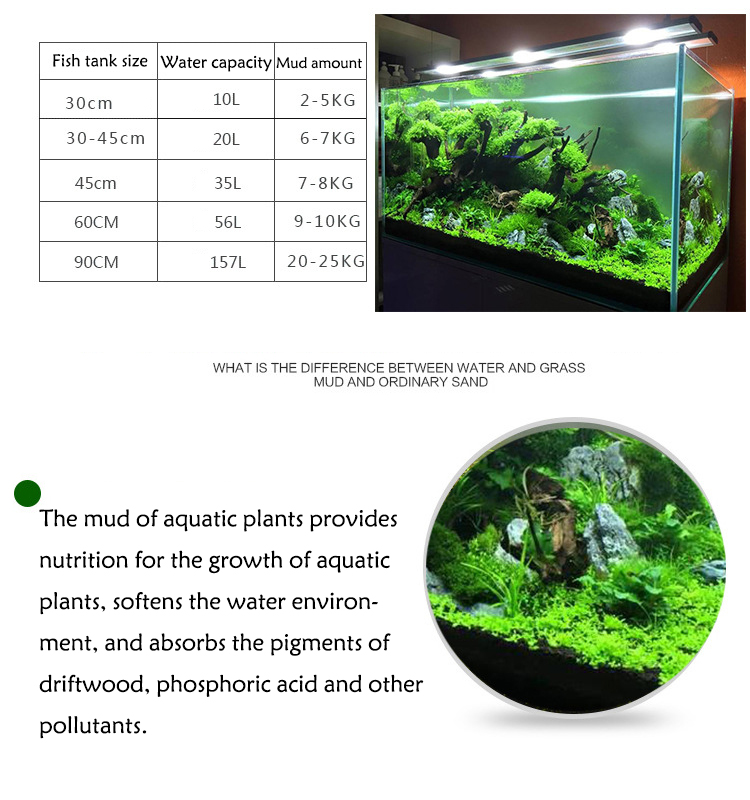 Aquarium Plant Seeds Soil Fish - مراجعة Aquarium Planted Seeds وسعره