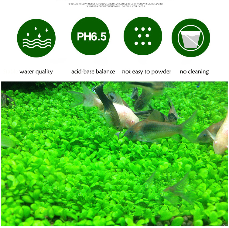 Aquarium Plant Seeds Soil Fish - مراجعة Aquarium Planted Seeds وسعره