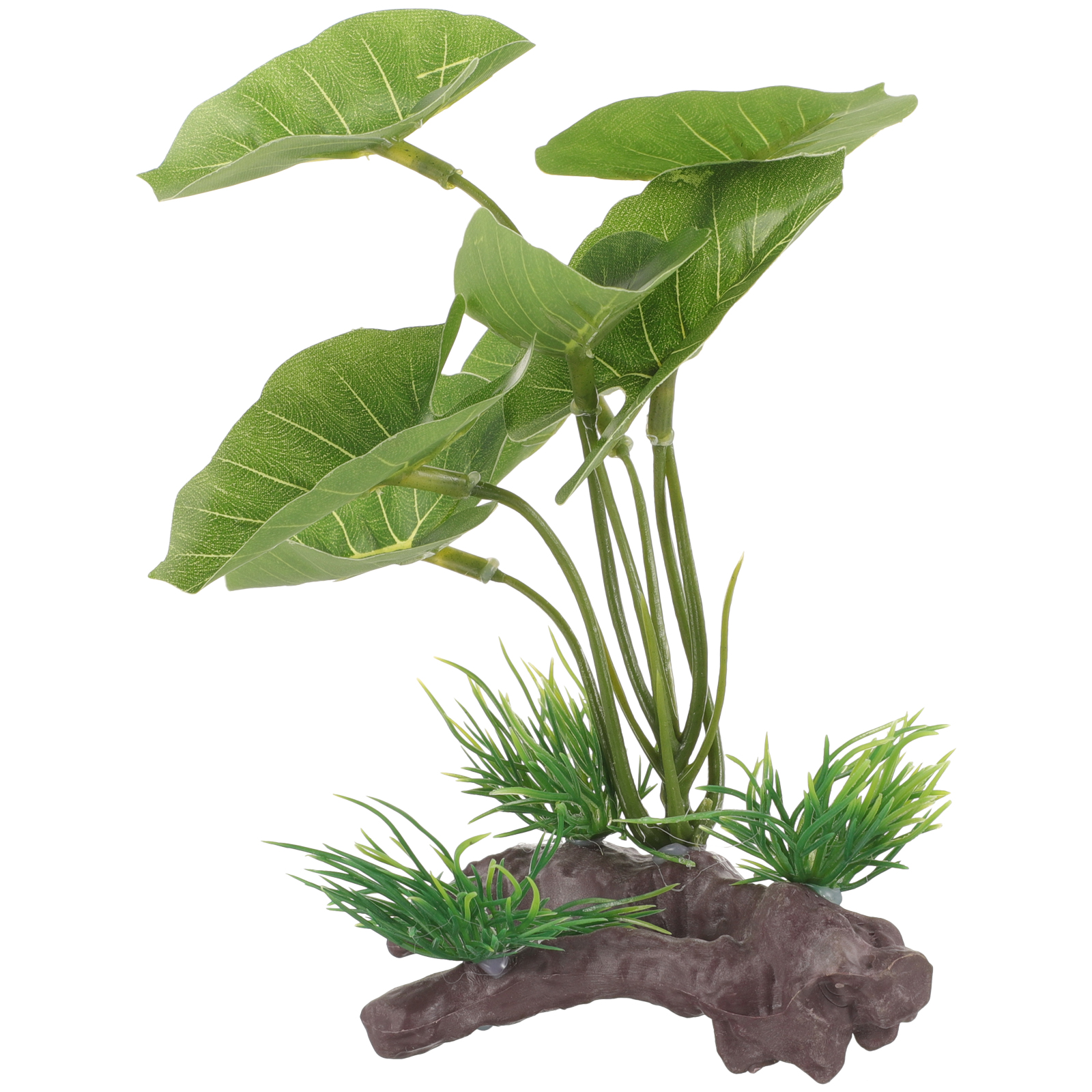 Artificial Underwater Plant Aq - مراجعة Aquarium Planted Seeds وسعره