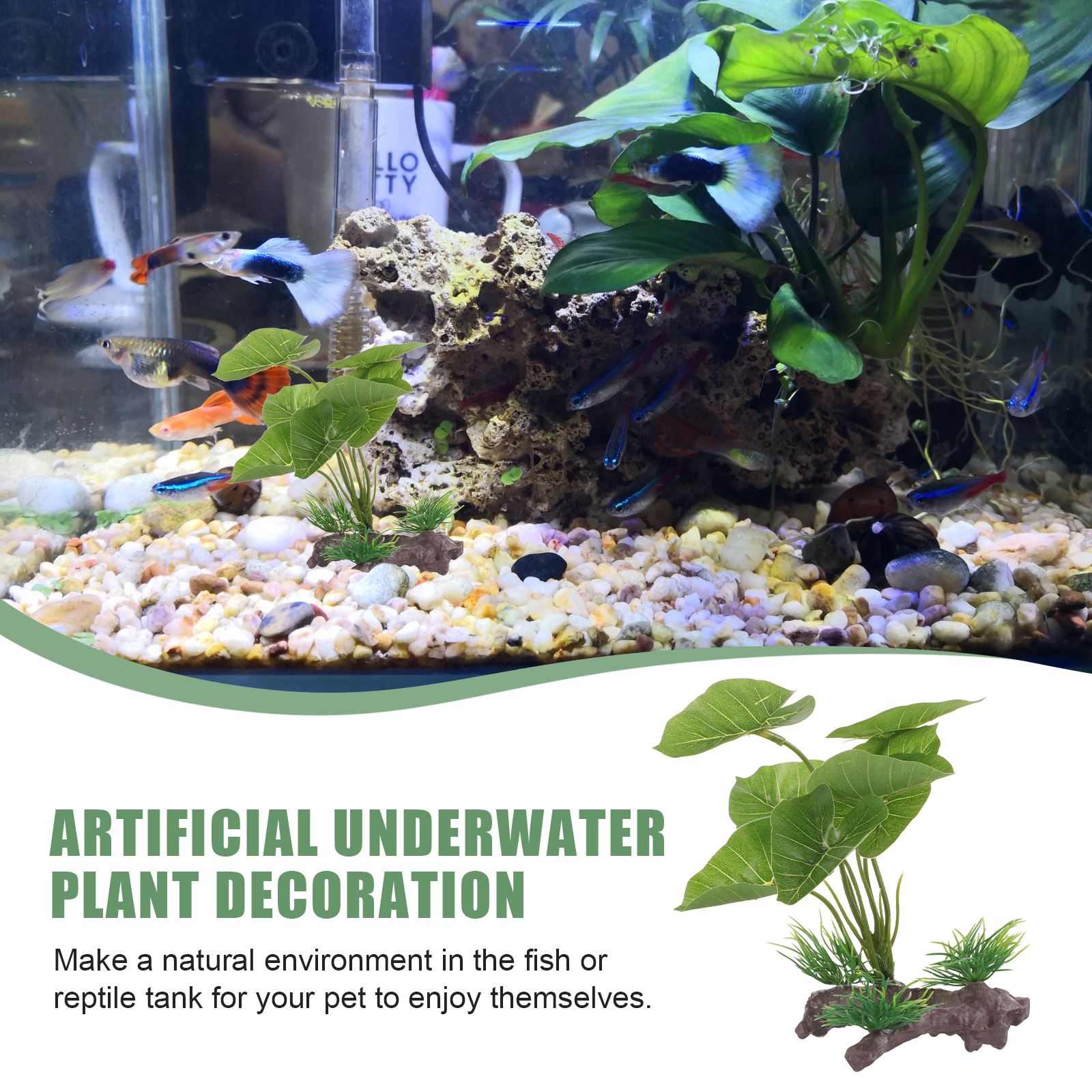 Artificial Underwater Plant Aq - مراجعة Aquarium Planted Seeds وسعره