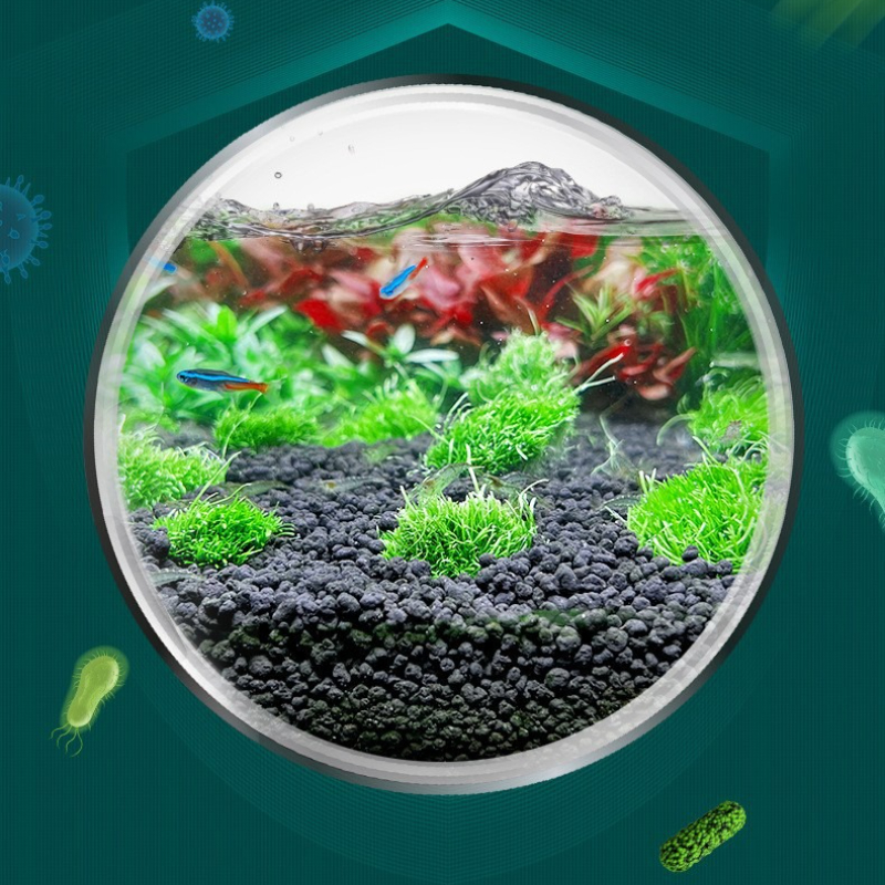 Aquarium Soil Substrate - Non- - مراجعة Aquarium Planted Seeds وسعره