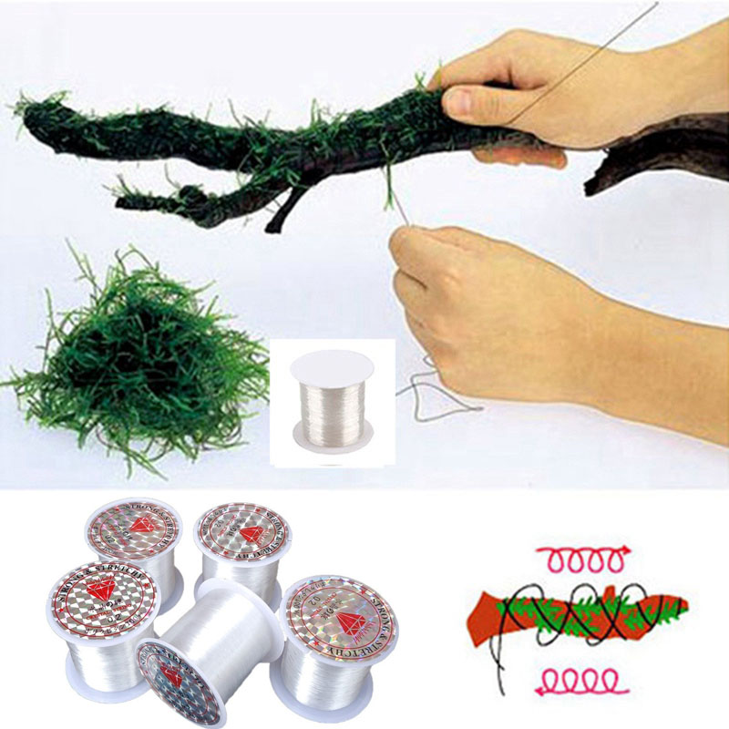 120M DIY Moss Line Binding Lin - مراجعة Aquarium Plant Echinodorus وسعره