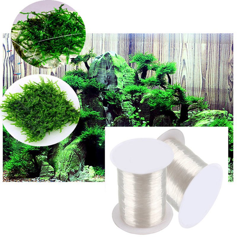 120M DIY Moss Line Binding Lin - مراجعة Aquarium Plant Echinodorus وسعره