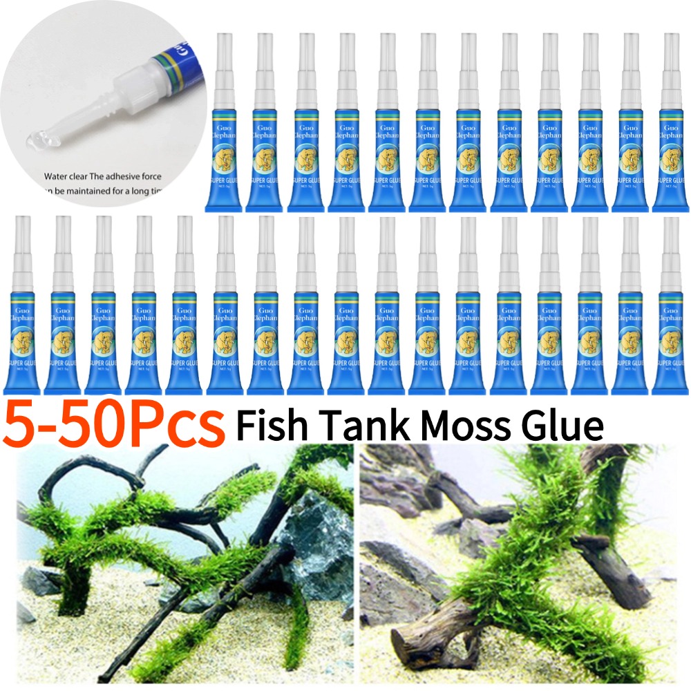 50-5Pcs Fish Tank Landscaping  - مراجعة Aquarium Plant Glue Gel وسعره