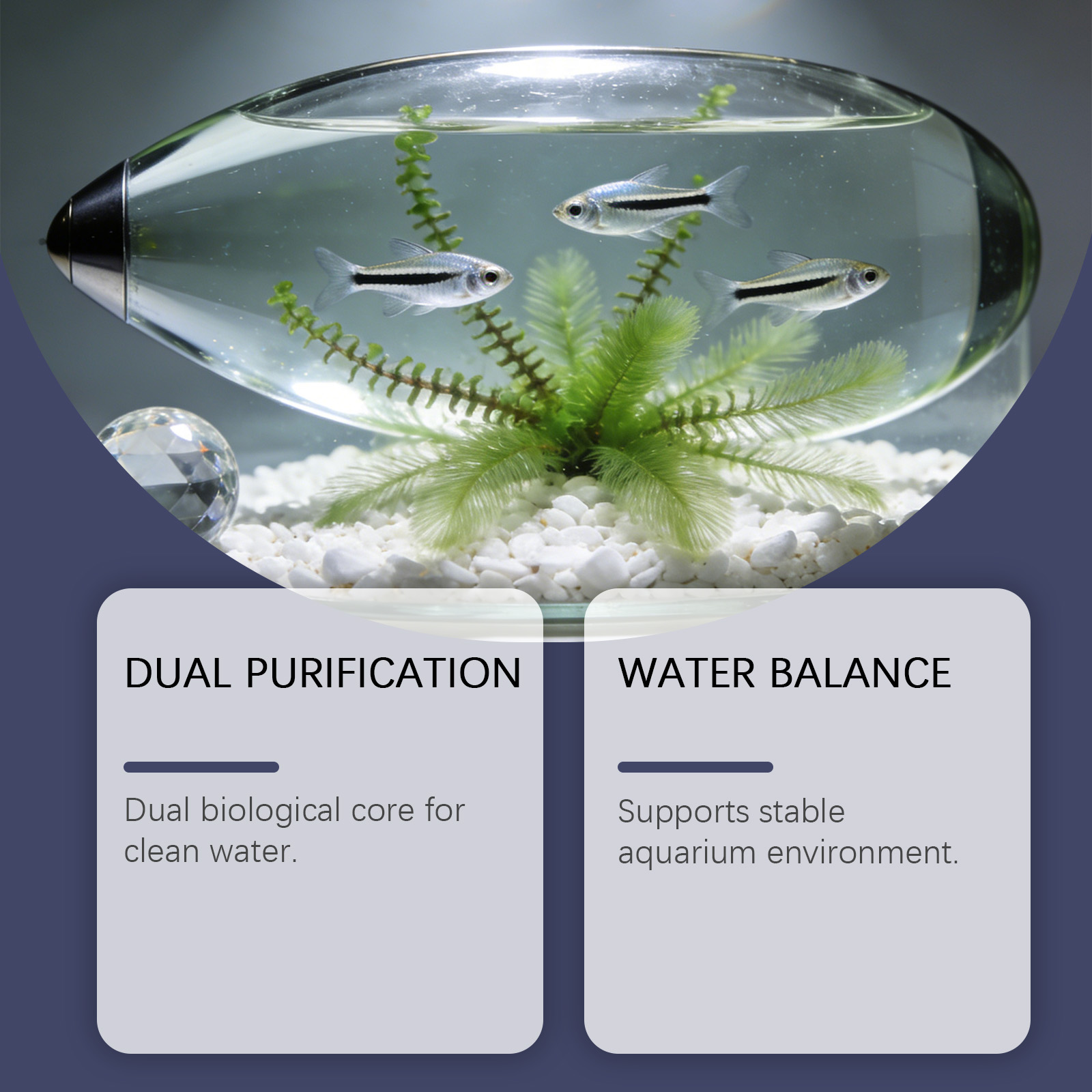 Algae Remover Tablets for Aqua - مراجعة Planted Aquarium Cloudy Water وسعره
