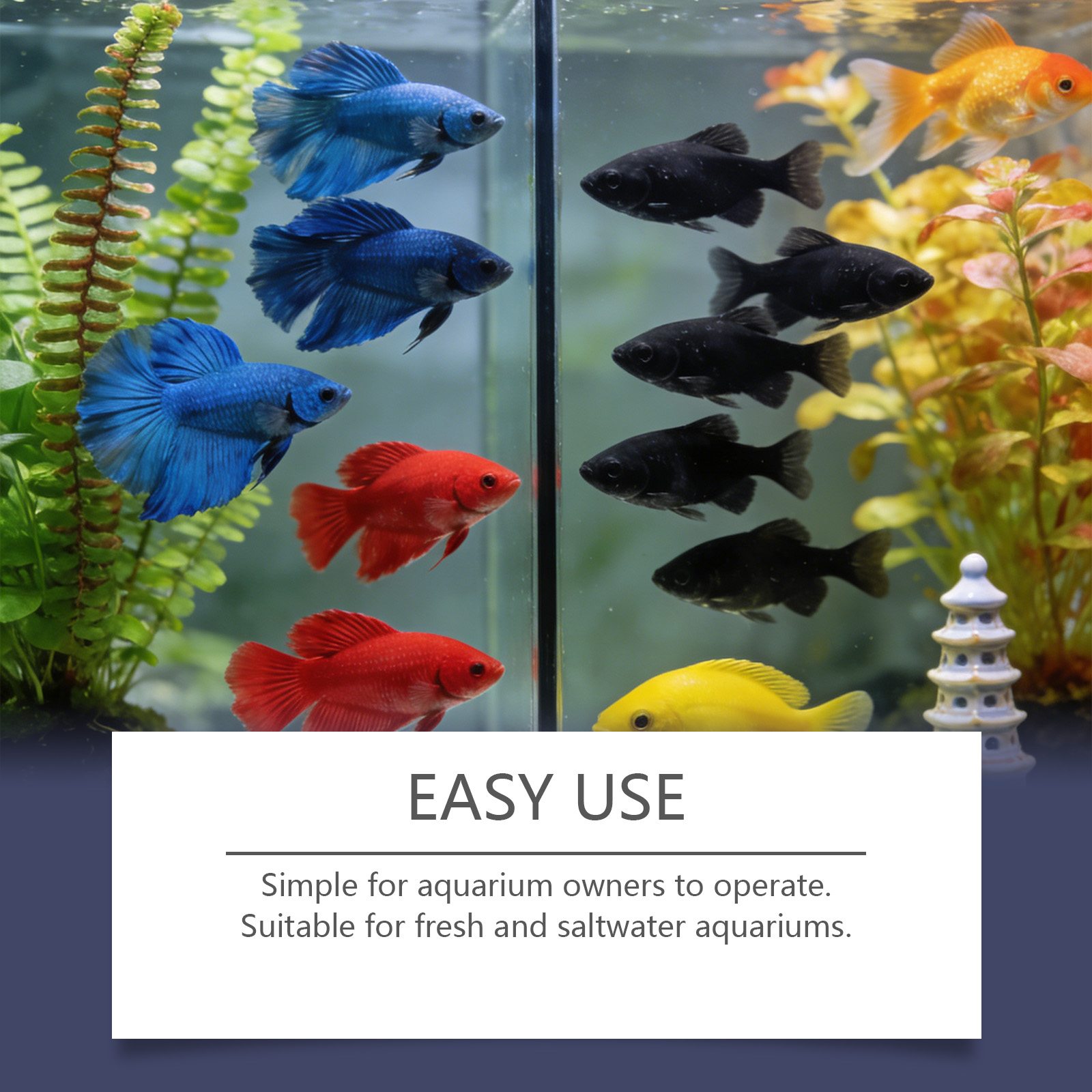Algae Remover Tablets for Aqua - مراجعة Planted Aquarium Cloudy Water وسعره