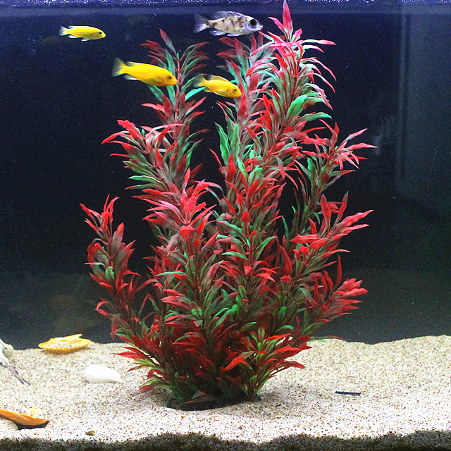 50CM Artificial Fish Tank Rare - مراجعة Planted Aquarium Equipment وسعره