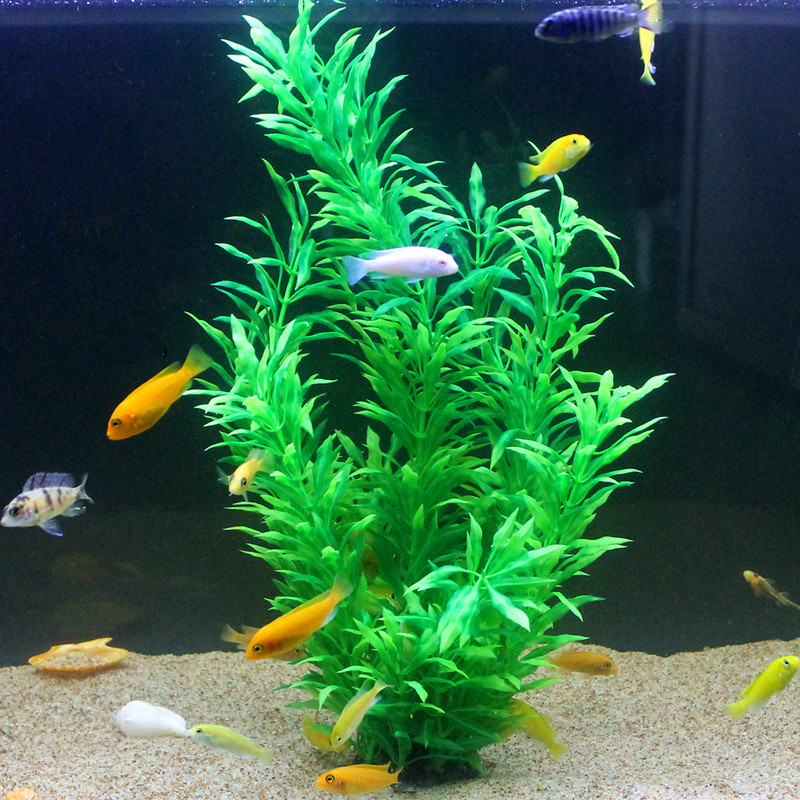 50CM Artificial Fish Tank Rare - مراجعة Planted Aquarium Equipment وسعره