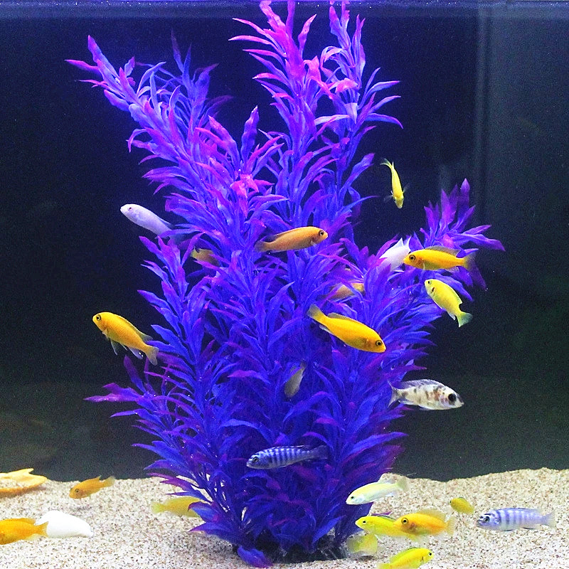 50CM Artificial Fish Tank Rare - مراجعة Planted Aquarium Equipment وسعره