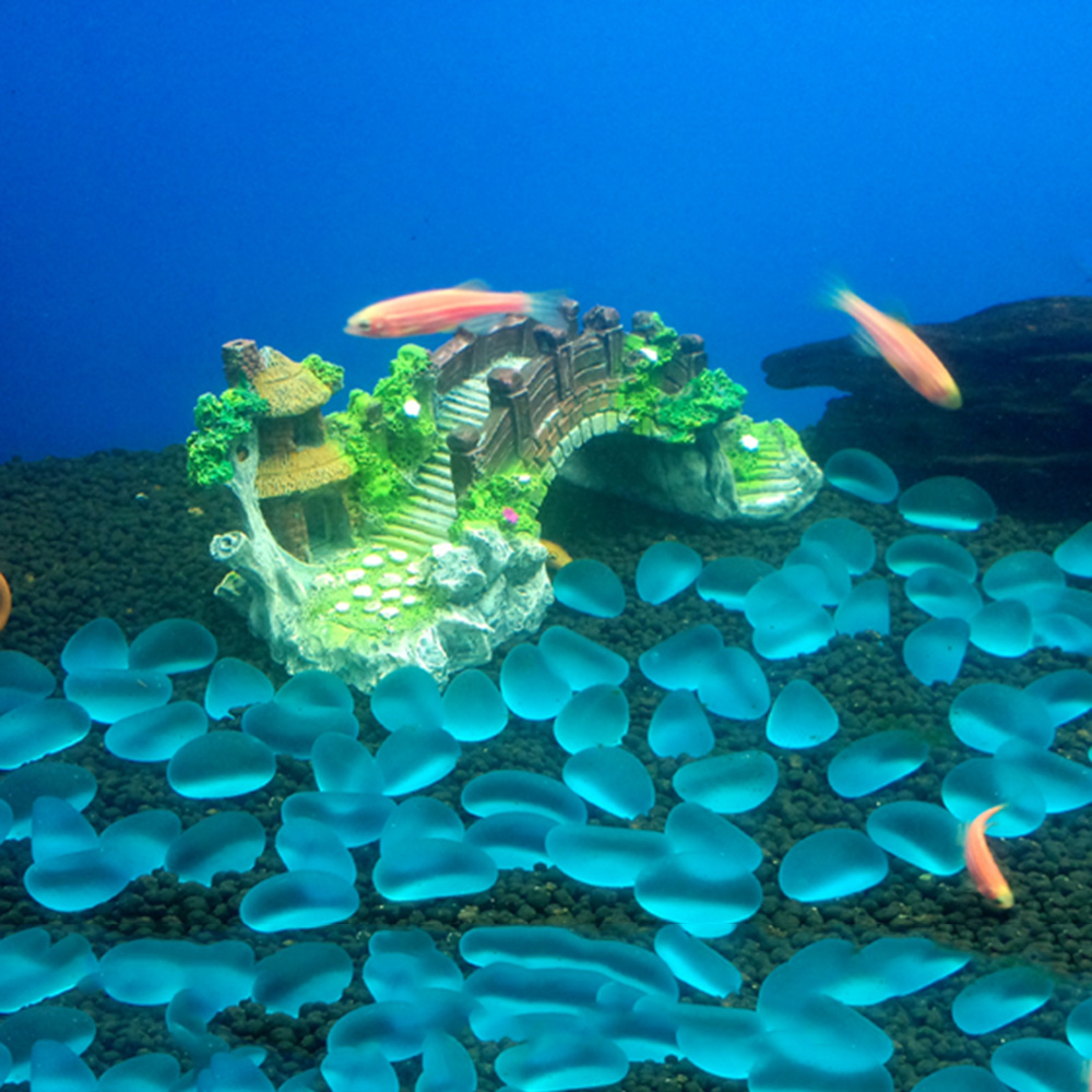 Aquarium Accessories Arbor Tre - مراجعة Aquarium Planted Substrate وسعره