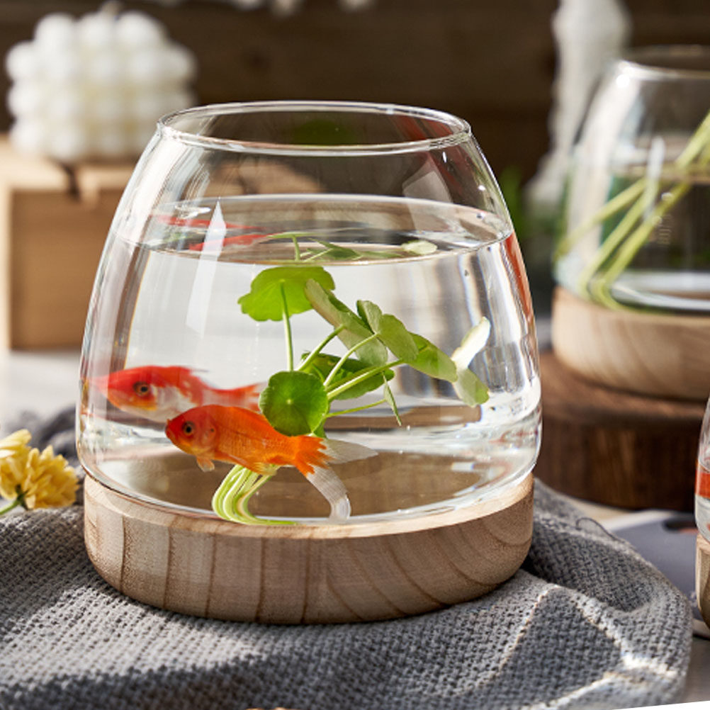 1Set Wooden Base Glass Hydropo - مراجعة Aquarium Planting وسعره