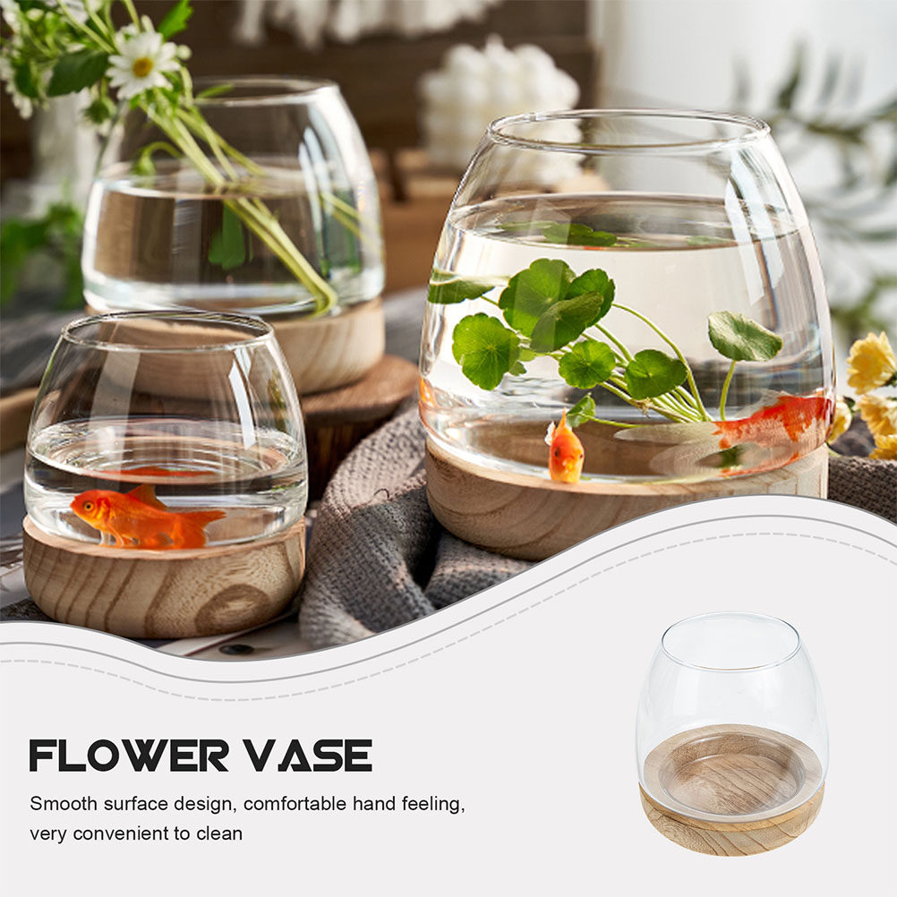 1Set Wooden Base Glass Hydropo - مراجعة Aquarium Planting وسعره