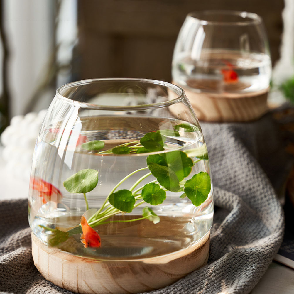 1Set Wooden Base Glass Hydropo - مراجعة Aquarium Planting وسعره