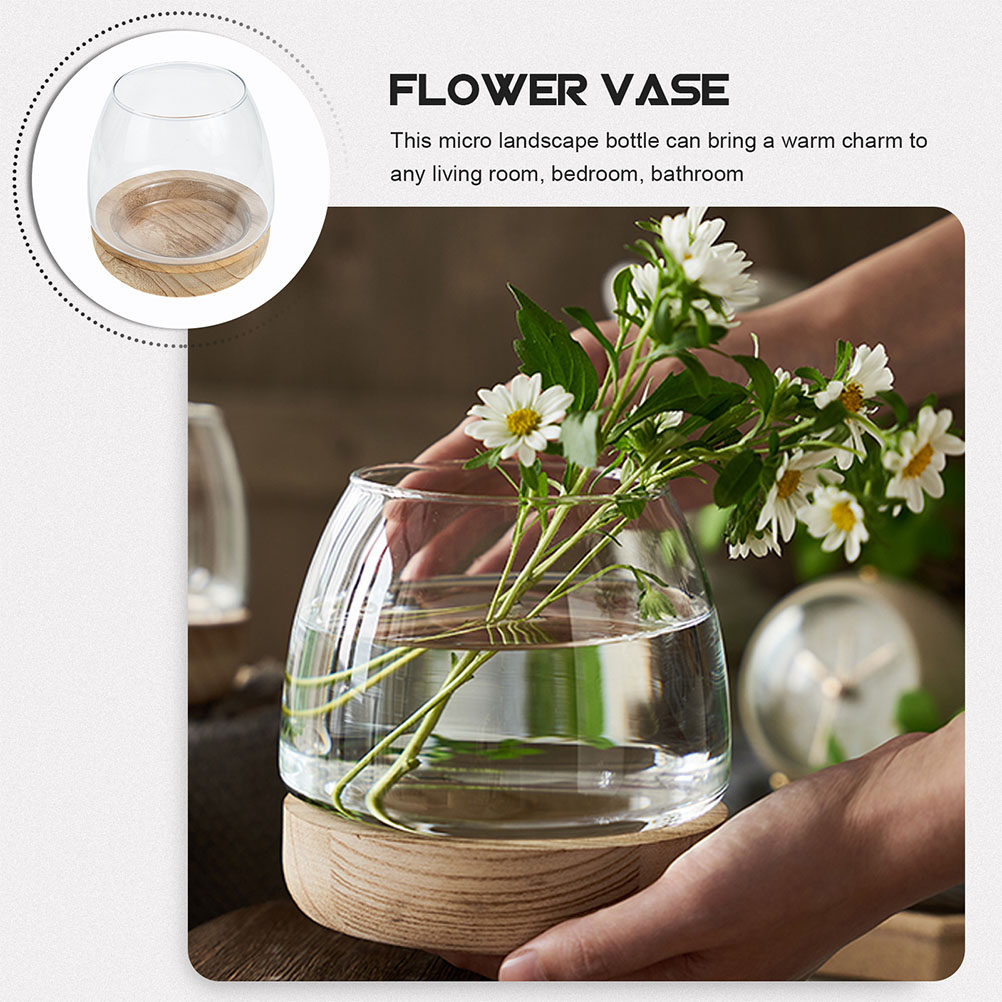 1Set Wooden Base Glass Hydropo - مراجعة Aquarium Planting وسعره