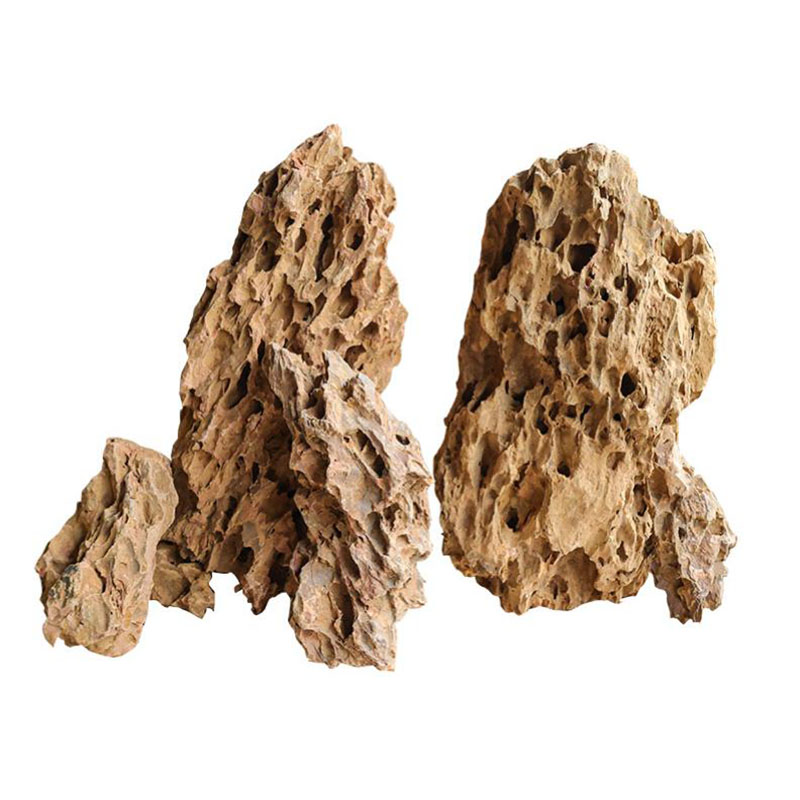 250g 500g 1000g Natural Aquari - مراجعة Aquarium Planted Seeds وسعره