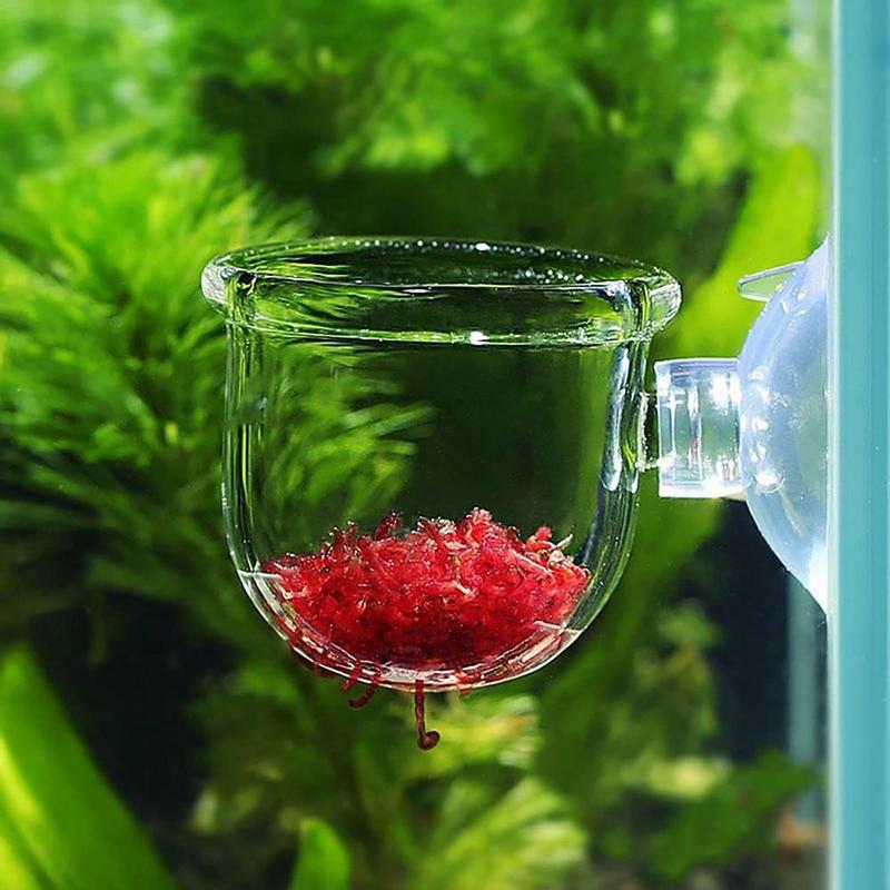 Fish Tank Decoration Accessory - مراجعة Aquarium Planted Seeds وسعره