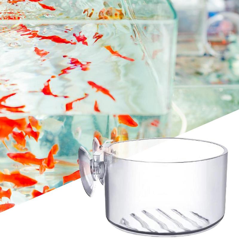 Fish Tank Decoration Accessory - مراجعة Aquarium Planted Seeds وسعره