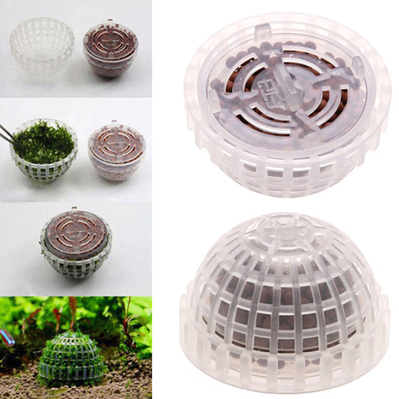 Aquatic Pet Supplies Decoratio - مراجعة Aquarium Plant Echinodorus وسعره