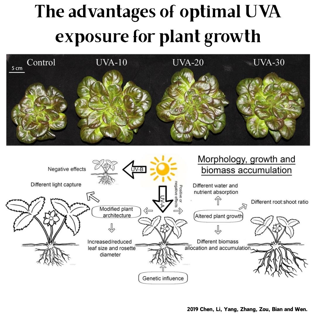 Week Aqua M Series RGB+UV Wate - مراجعة Aquarium Plant Growing وسعره
