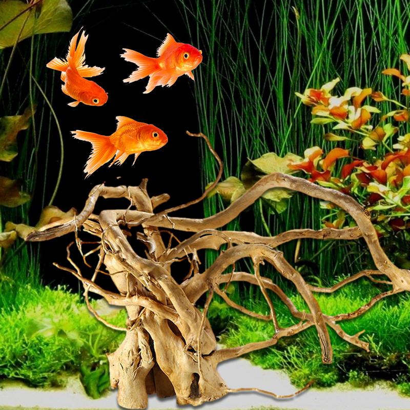 Aquarium Driftwood Decoration  - مراجعة Aquarium Plant Glue وسعره