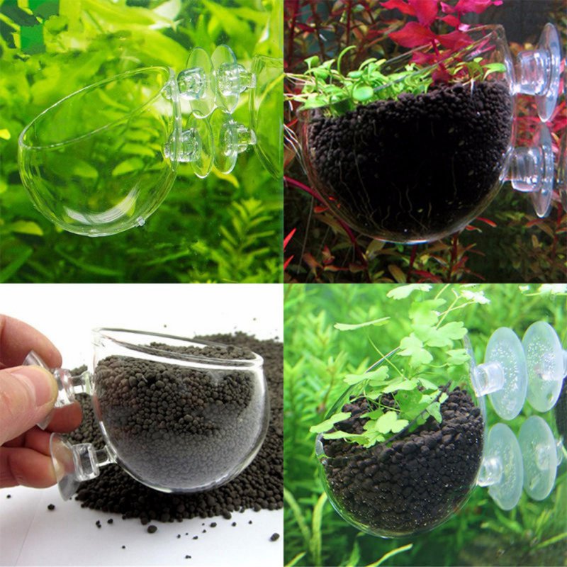 Aquarium Hanging Plant Pot Gla - مراجعة Aquarium Planted Seeds وسعره