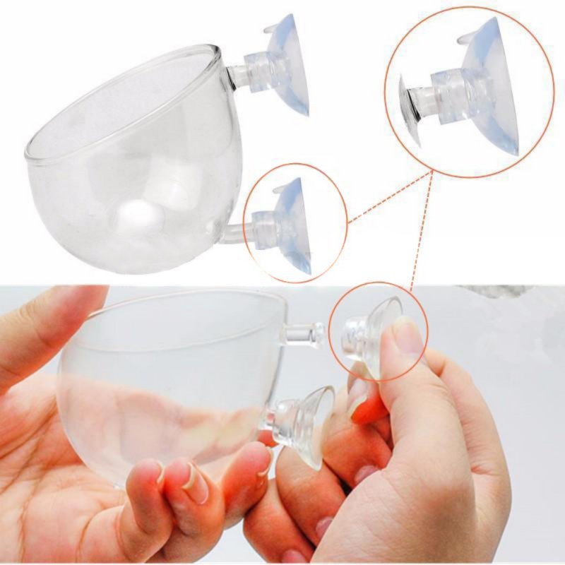 Aquarium Hanging Plant Pot Gla - مراجعة Aquarium Planted Seeds وسعره