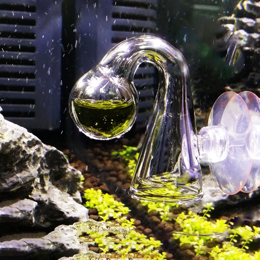 Fish Tank CO2 Diffuse Glass Dr - مراجعة Planted Aquarium Accessories وسعره
