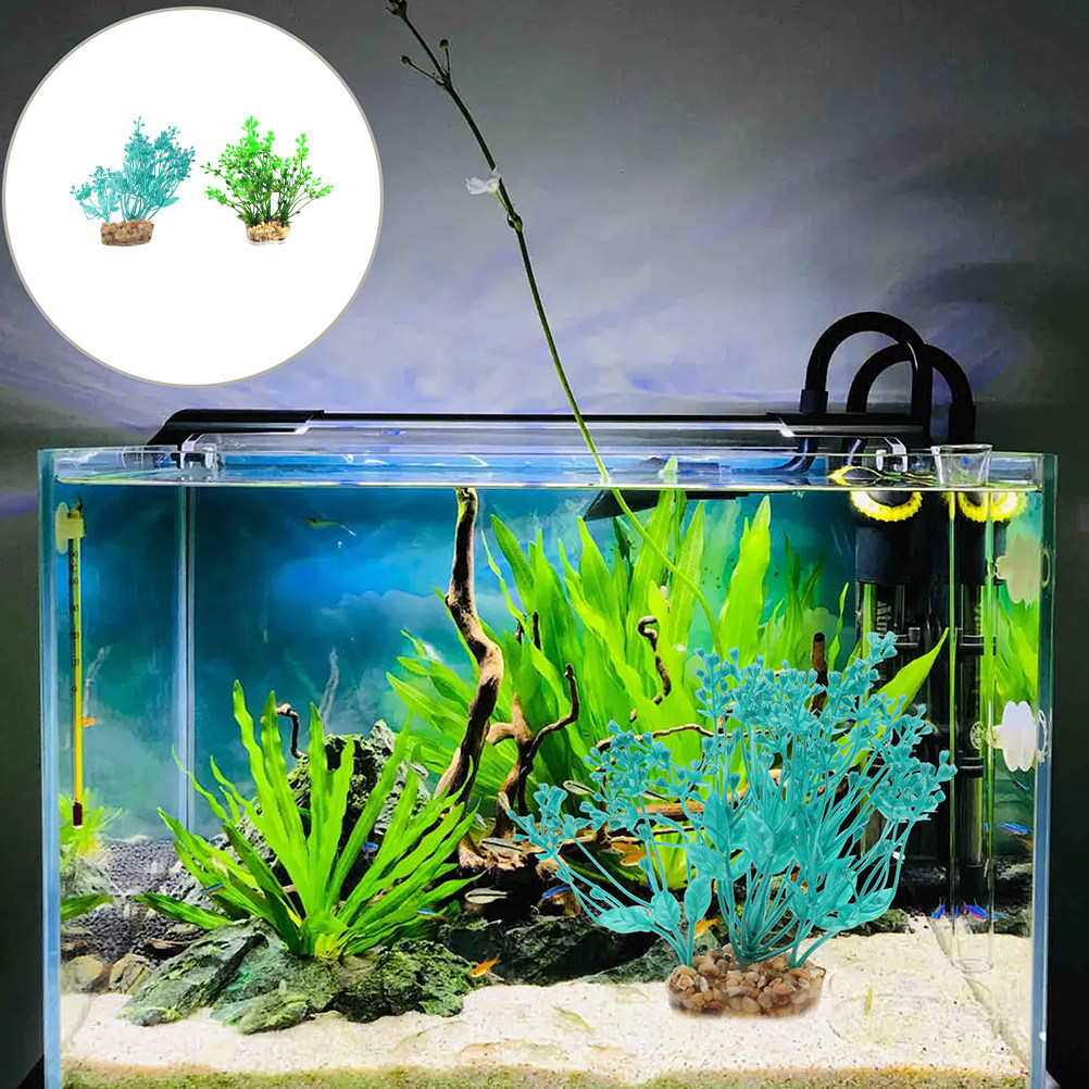 2Pcs Realistic Plastic Aquariu - مراجعة Planted Aquarium Freshwater وسعره