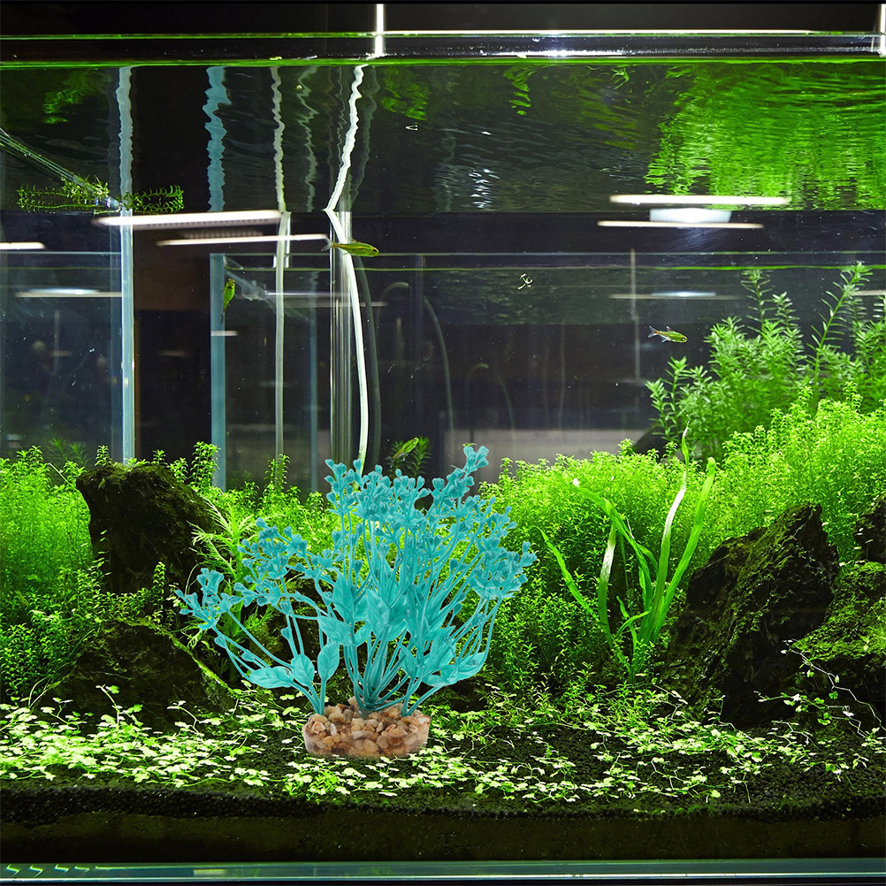 2Pcs Realistic Plastic Aquariu - مراجعة Planted Aquarium Freshwater وسعره