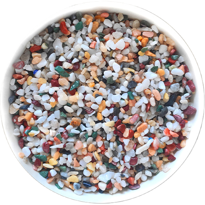 200~800g Fish Tank Decoration  - مراجعة Aquarium Planted Seeds وسعره