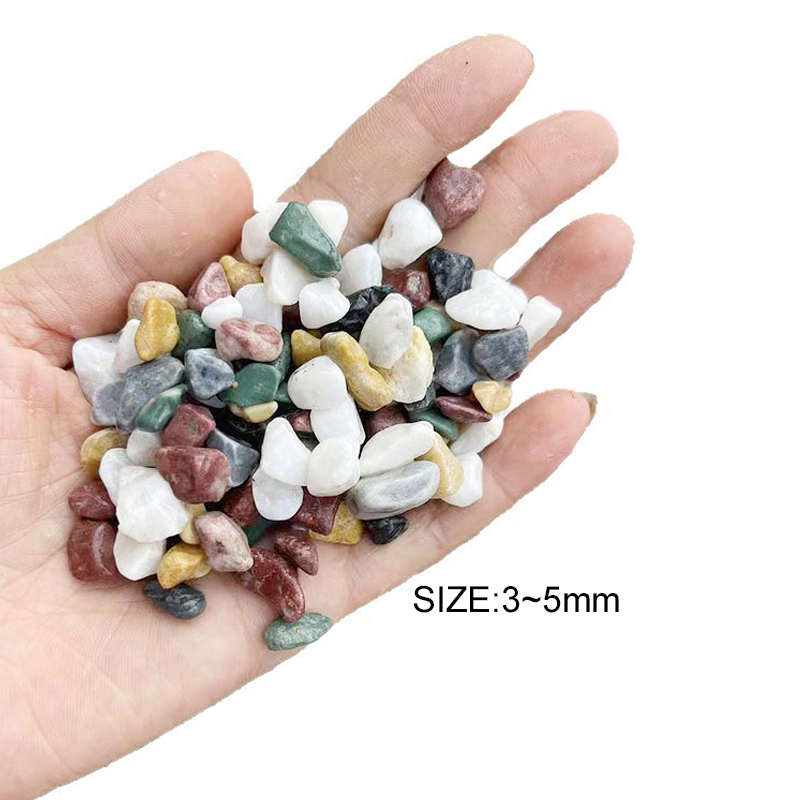 200~800g Fish Tank Decoration  - مراجعة Aquarium Planted Seeds وسعره