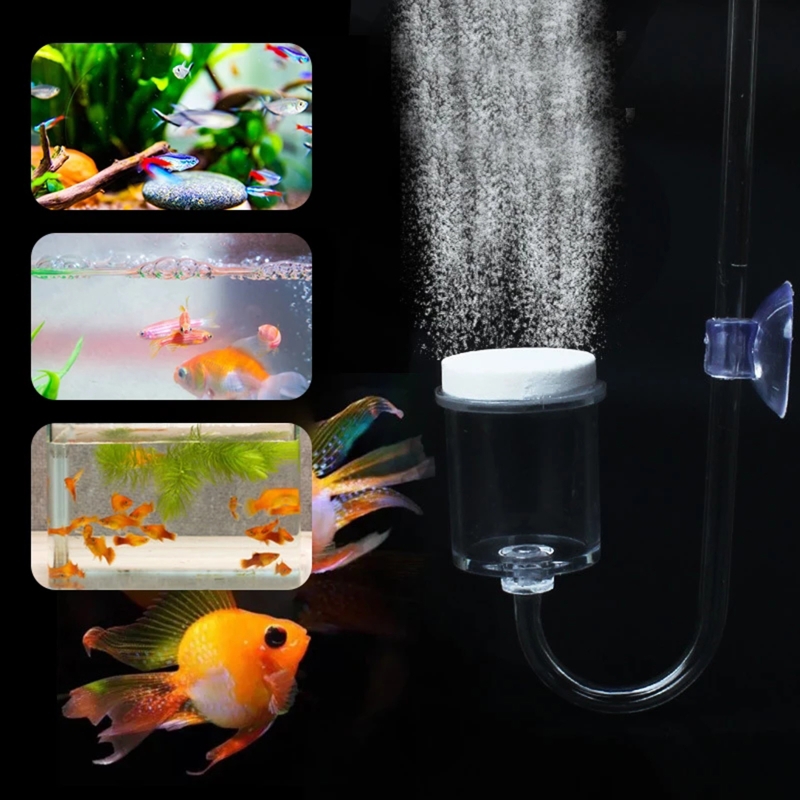 4pcs Set DIY CO2 Diffuser For  - مراجعة Aquarium Plant Echinodorus وسعره
