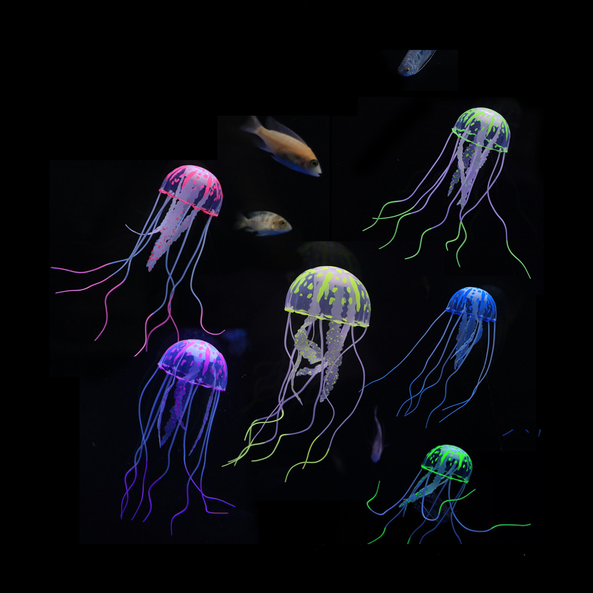 1 Pc Coral Moon Jellyfish Aqua - مراجعة Aquarium Plant Glue وسعره