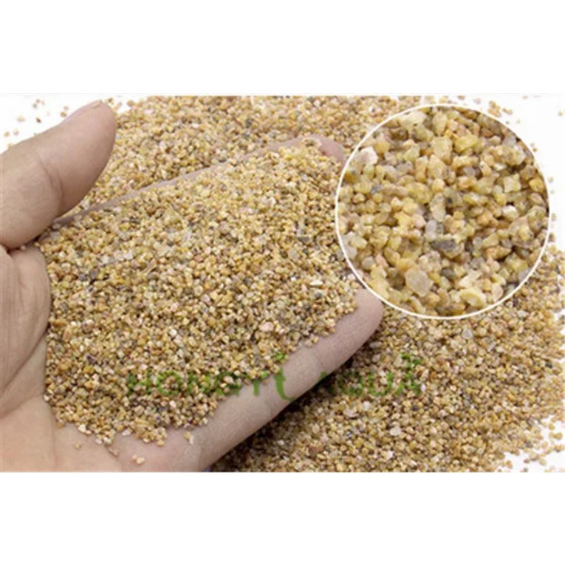 300g aquarium landscaping fish - مراجعة Aquarium Planted Seeds وسعره