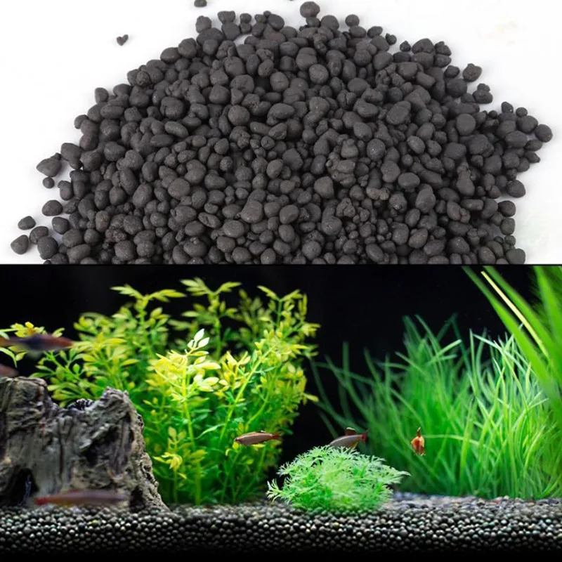 1kg Watergrass Aquarium Plants - مراجعة Aquarium Planted Seeds وسعره