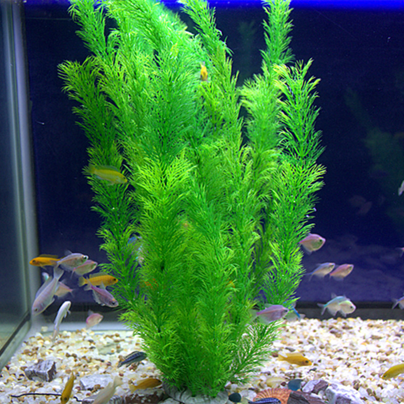 30cm Aquarium Artificial Water - مراجعة Planted Aquarium Freshwater وسعره