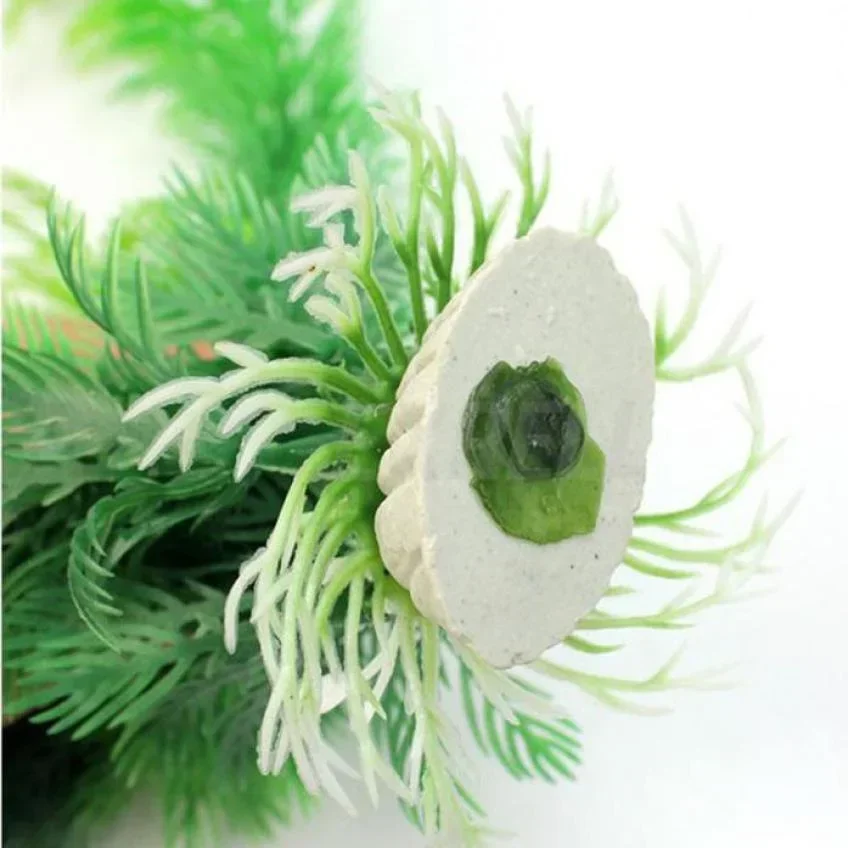30cm Aquarium Artificial Water - مراجعة Planted Aquarium Freshwater وسعره